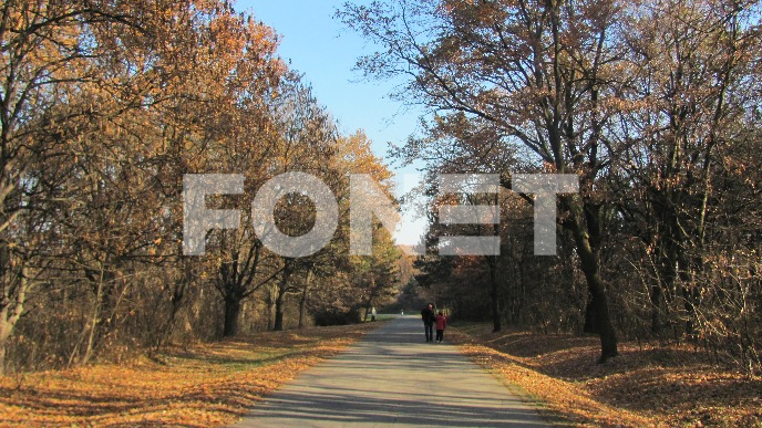Apel Spomen parka u Kragujevcu